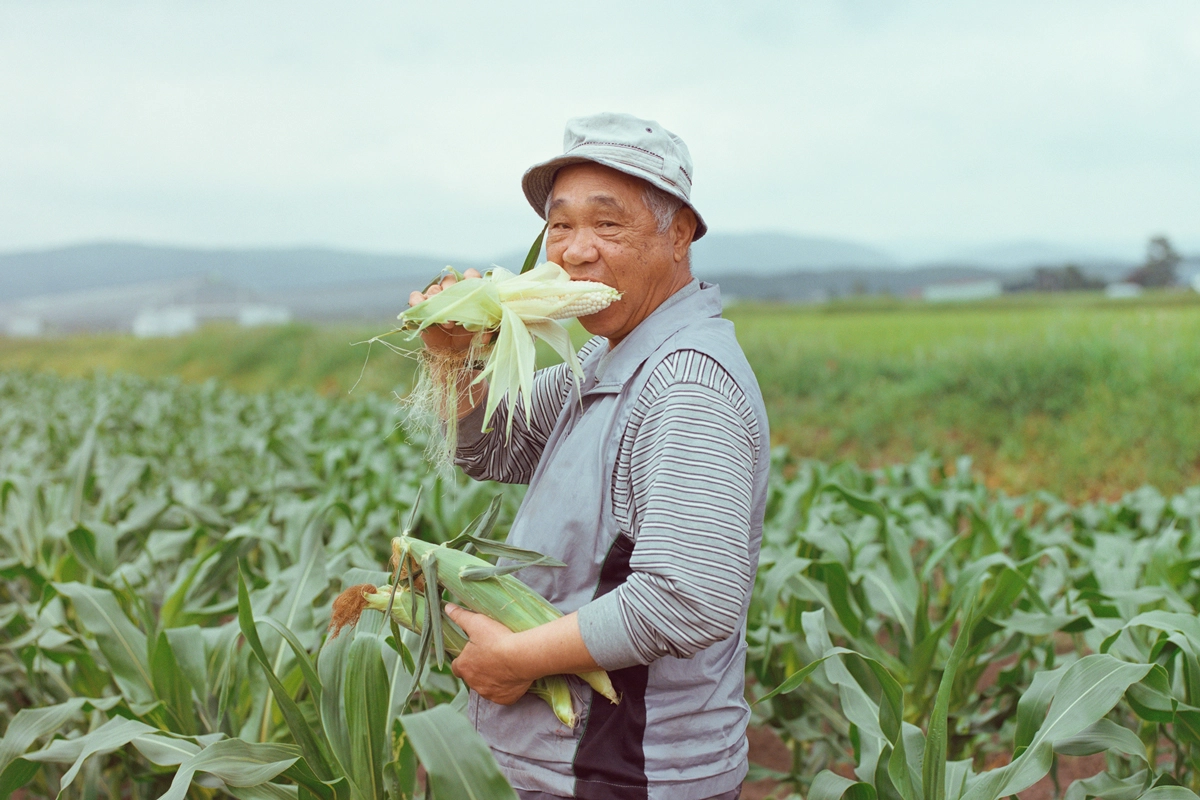 Osamu Yokonami — Small Town