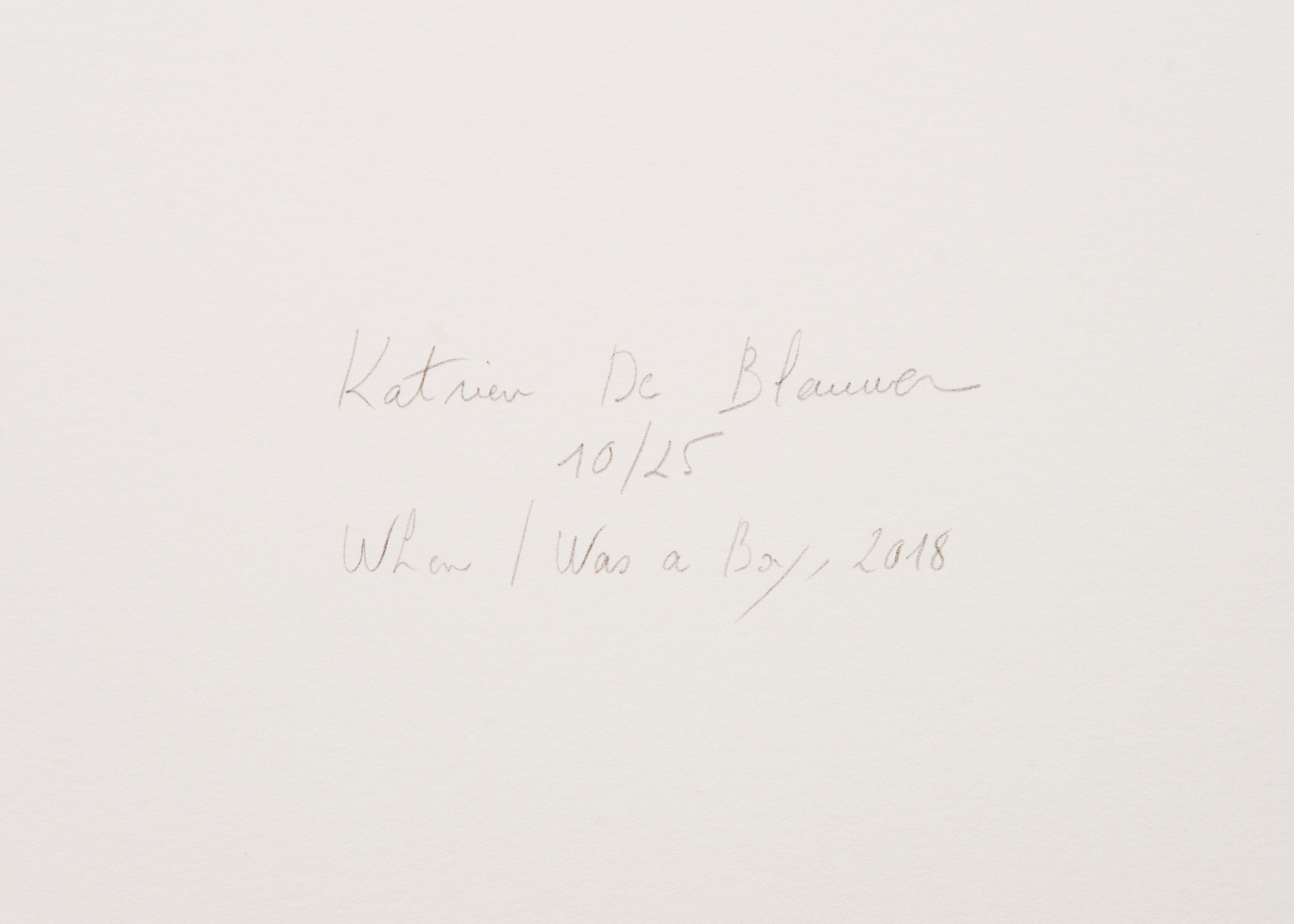 Katrien De Blauwer — When I Was a Boy