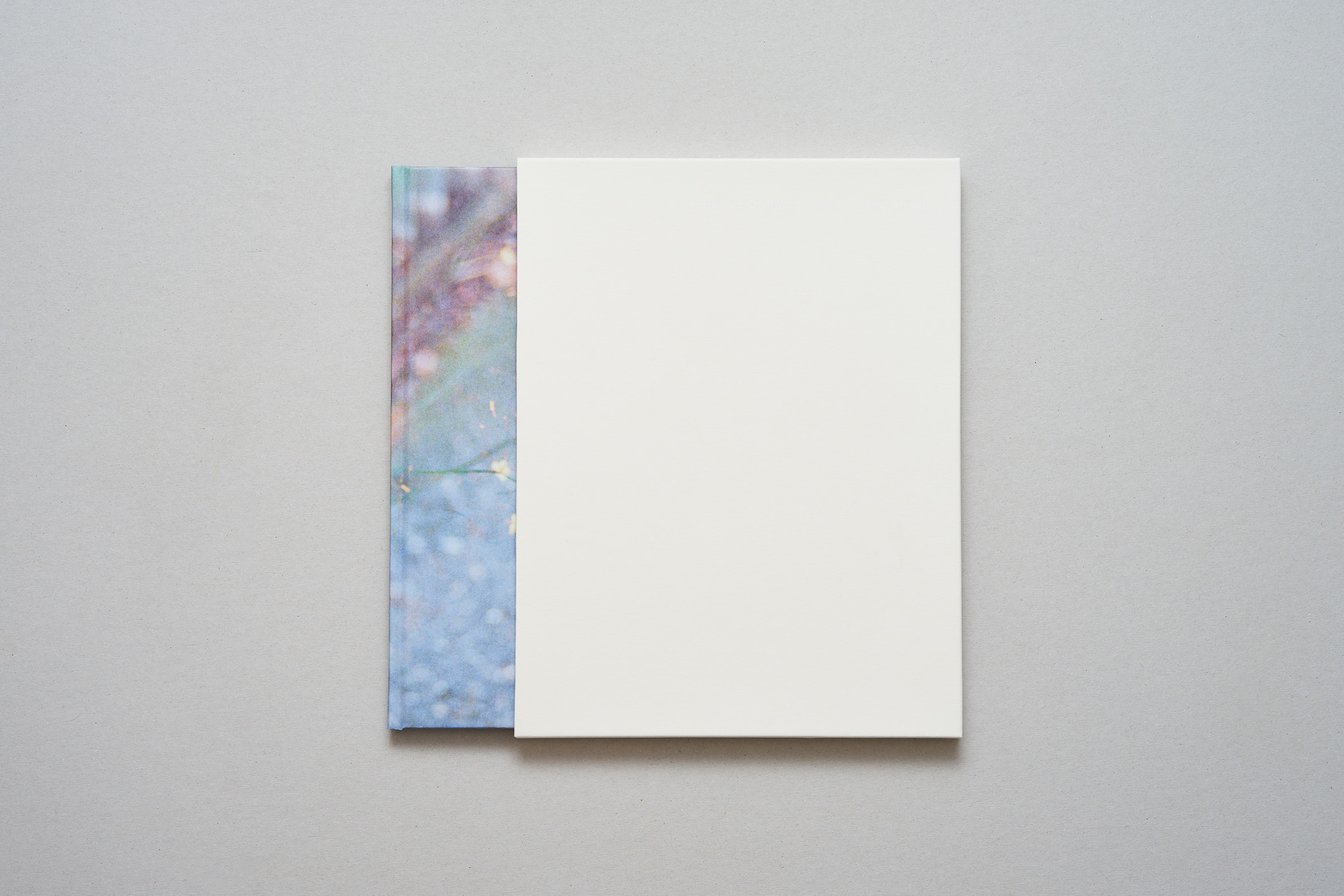 Ola Rindal — Notes on Ordinary Spaces